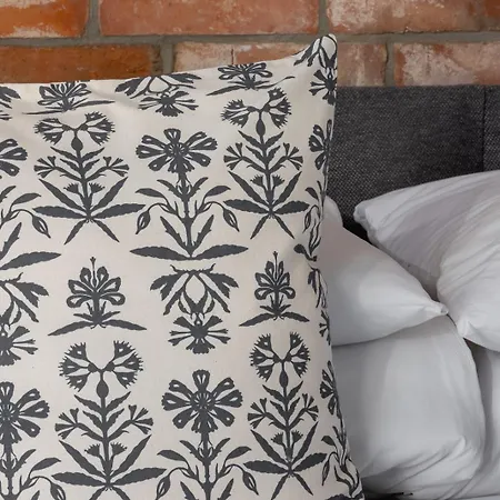 Daire In Kazimierz District - Ac - Starowislna 41 *